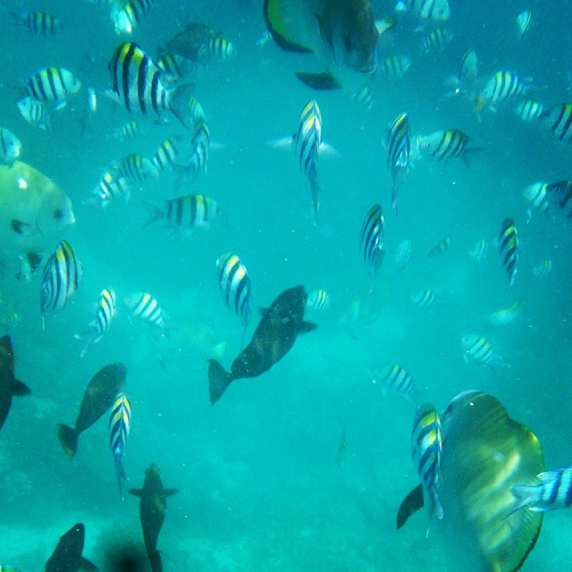 1896852_10151964934417894_56000366_n