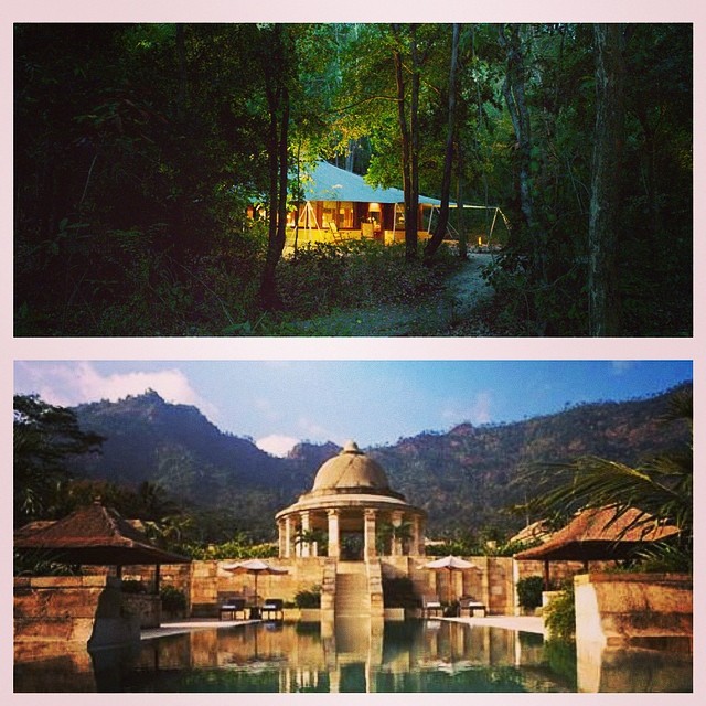 1898123_10151974250267894_1289663754_n